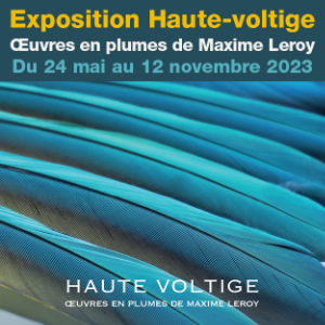 Exposition Haute-voltige<br>Œuvres en plumes de Maxime Lero