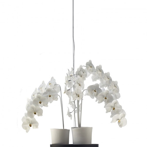 jeremy-cole-phalaenopsis-chandelier-600-h-x-630mm-dia-570x570.jpg