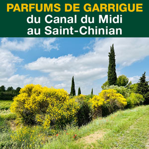 Parfums de garrigue<br> autour du Canal du Midi...