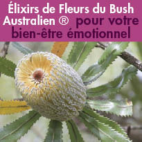 ELIXIRS<br>DE FLEURS DU BUSH<br>AUSTRALIEN