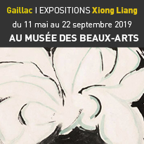 Expositions<br>de Xiong Liang<br>à Gaillac