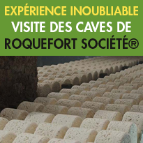 Site d’exception<br>Aveyron (12)<br>les caves de Roquefort<br>Société