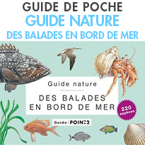 Guide nature<br>des balades en bord de mer