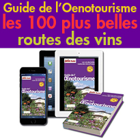 Guide de l’Oenotourisme<br>les 100 plus belles routes<br>des vins en France<br>Petit Futé
