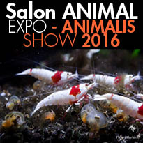￼Paris 75012<br>salon ANIMAL EXPO<br>ANIMALIS SHOW 2016<br> 8 et 9 Octobre