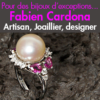 Fabien Cardona<br>Joaillier, designer<br>Fabricant, Artisan