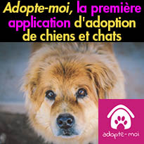 Adopte-moi,<br>la première application<br>d'adoption de chiens et chats