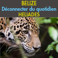 Des paysages<br>et une biodiversité uniques<br>le Belize<br>Un petit paradis
