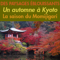 Japon<br>￼￼￼￼￼￼￼￼￼￼￼￼Un automne à Kyoto<br>La saison du Momijigari.<br>Des paysages Eblouissants