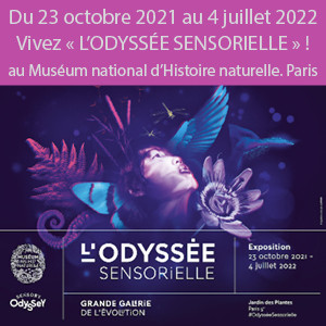 Exposition « L’Odyssée sensorielle »au Muséum national d’Histoire naturelle