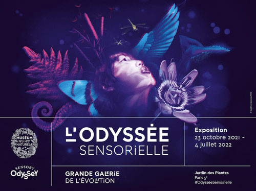 Odyssee-sensorielle