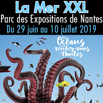 Exposition<br>Nantes<br>La Mer XXL<br>Du 29 juin<br>au 10 juillet 2019