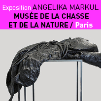 Exposition<br>Angelika Markul<br>Tierra Del Fuego