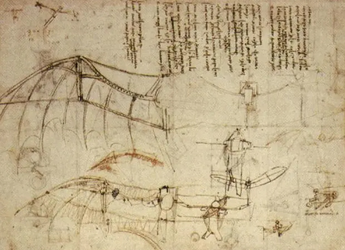 Leonard de Vinci6