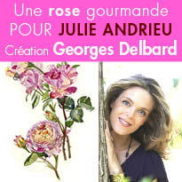 Une rose gourmande<br>pour Julie Andrieu<br>Création<br>Georges Delbard