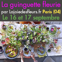 Le 16 et 17 septembre<br>Une guinguette éphémère<br>sur les quais de Seine<br>Paris 04