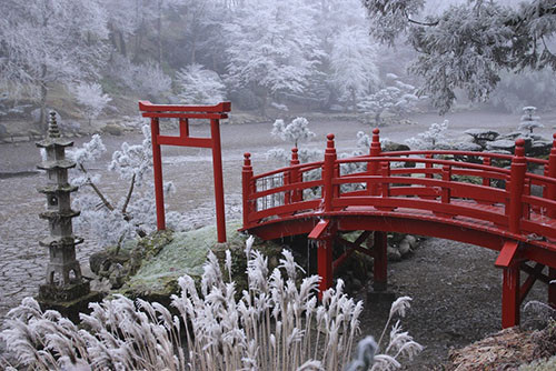 Parc oriental de Maulevrier - Anjou -  pont rouge hiver givre bd