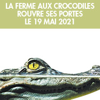 Réouverture  de la Ferme aux Crocodiles à Pierrelatte