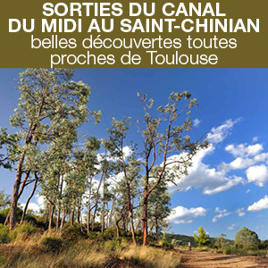 Belles découvertes toutes proches de Toulouse !