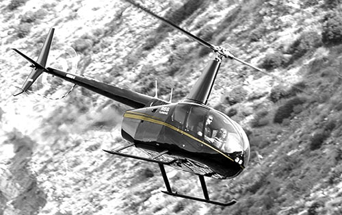 robinson-carole-1.jpg