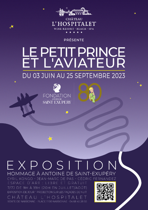 lepetitprinceetlaviateurafficheL