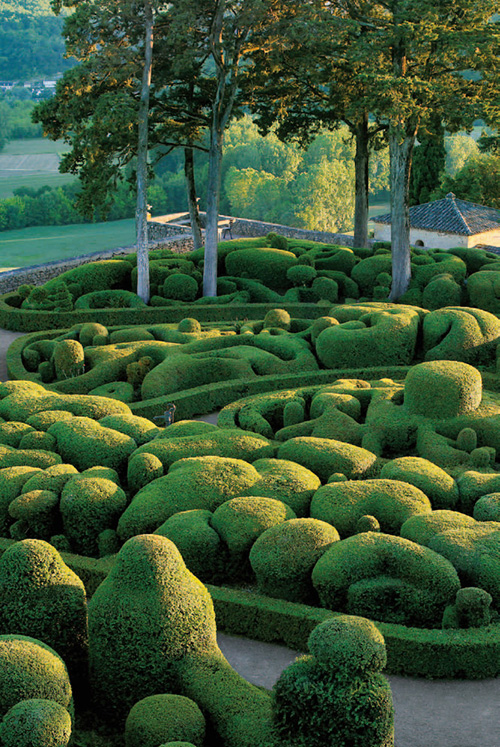 marqueyssac15.jpg