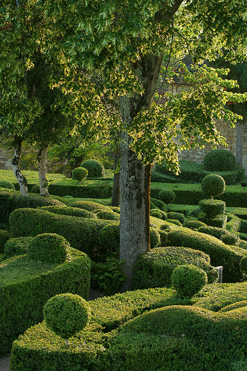 marqueyssac_tilleul.jpg
