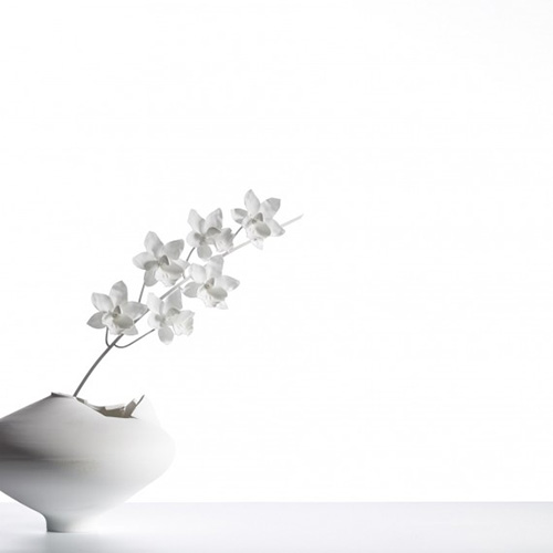 jeremy-cole-cymbidium-ming-vase-white-bg-570x570.jpg