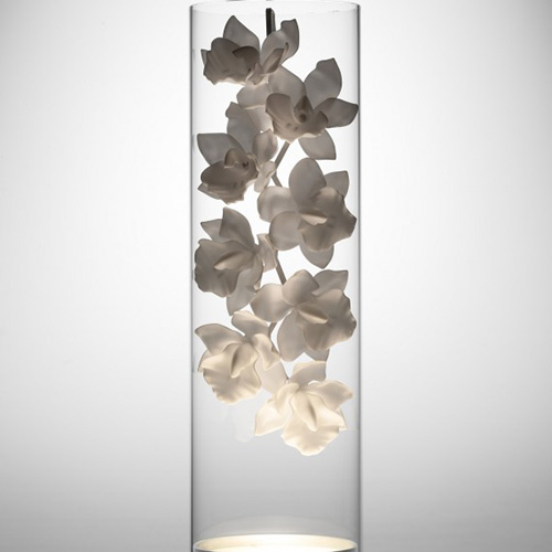 jeremy-cole-orchid-front-570x570.jpg