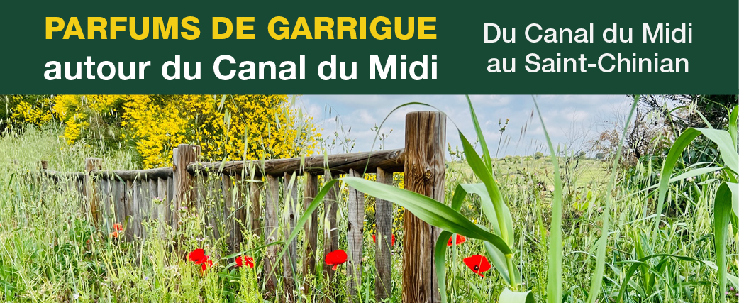 10bandeaucanaldumidi24