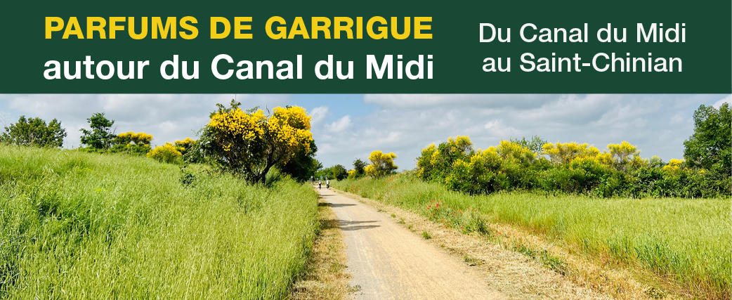 11bandeaucanaldumidi31