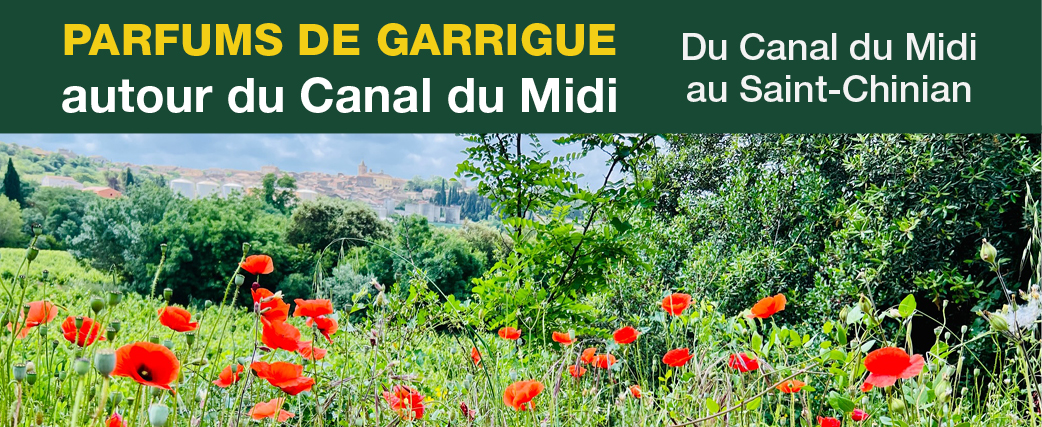 12bandeaucanaldumidi2