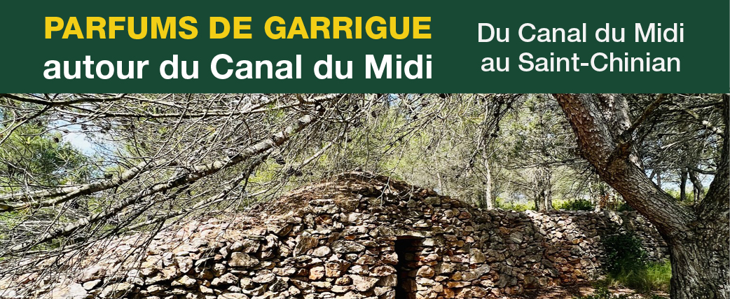 13bandeaucanaldumidi25