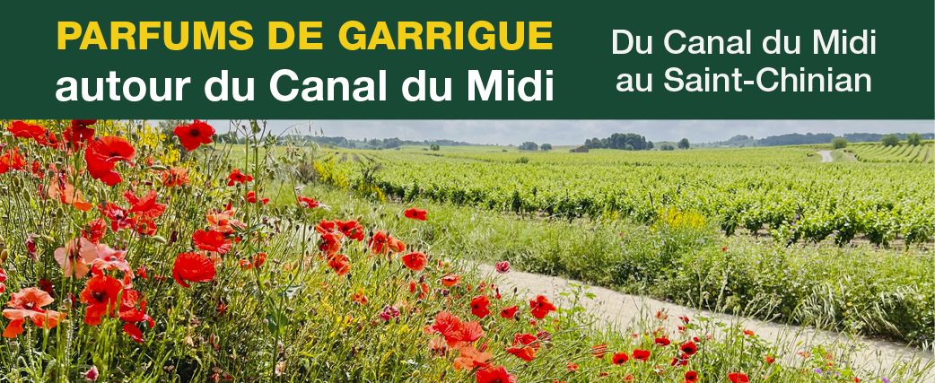 14bandeaucanaldumidi28