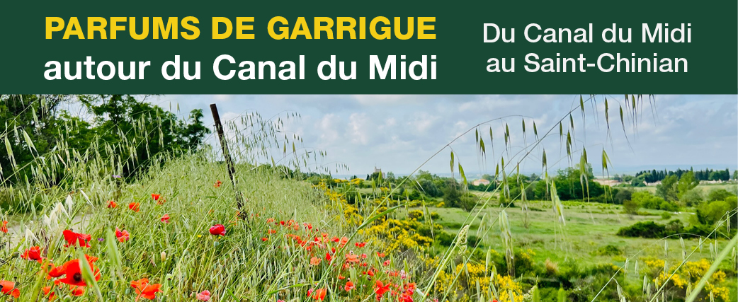 15bandeaucanaldumidi35