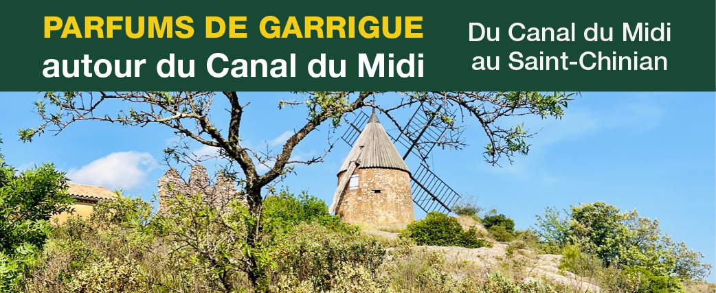 16bandeaucanaldumidi21