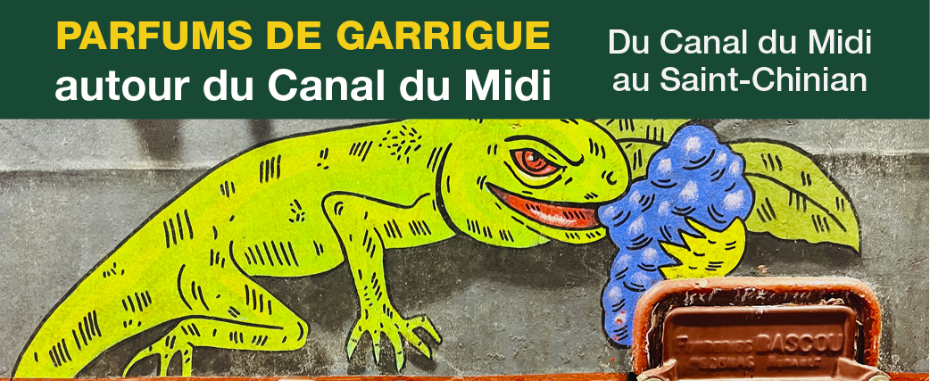 17bandeaucanaldumidi13