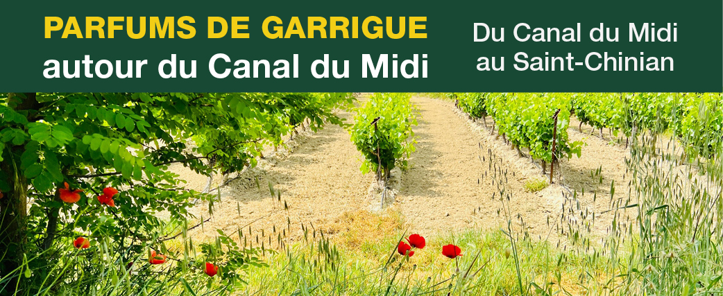18bandeaucanaldumidi32