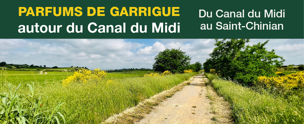 19bandeaucanaldumidi34