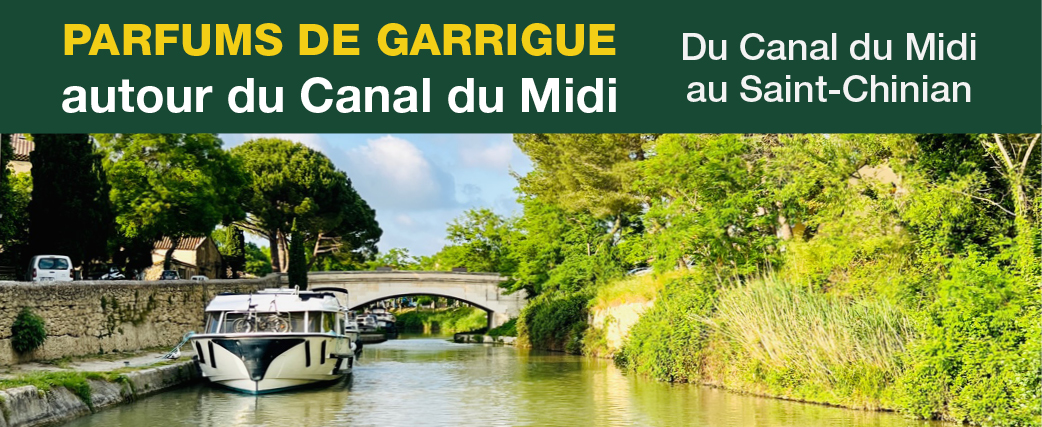 1bandeaucanaldumidi3