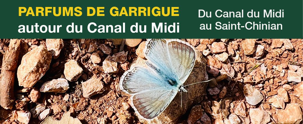 20bandeaucanaldumidi27