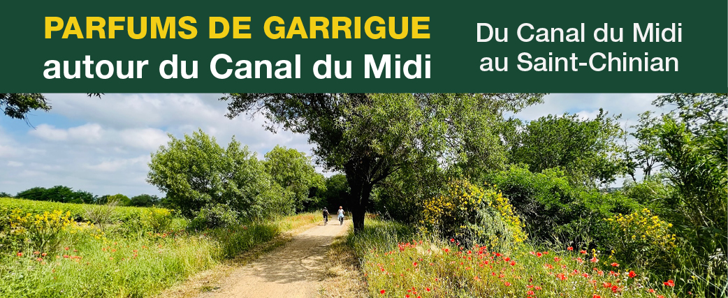 2bandeaucanaldumidi6