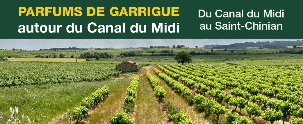 3bandeaucanaldumidi4