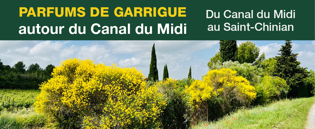 4bandeaucanaldumidi19