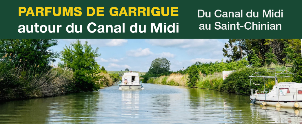5bandeaucanaldumidi7