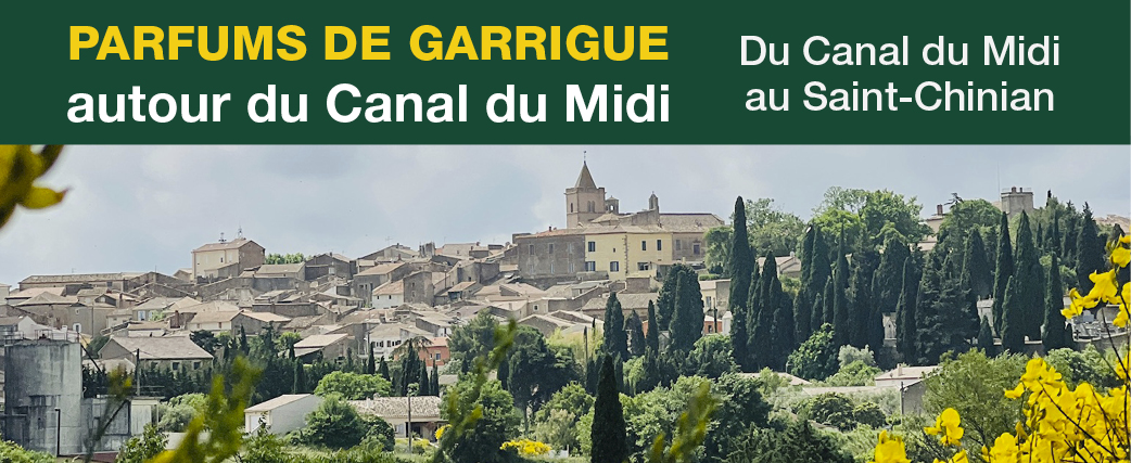 6bandeaucanaldumidi16