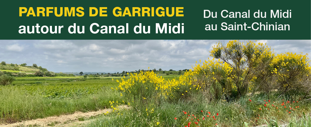 7bandeaucanaldumidi15