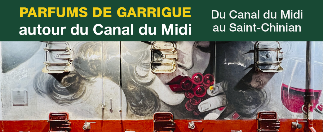 8bandeaucanaldumidi12