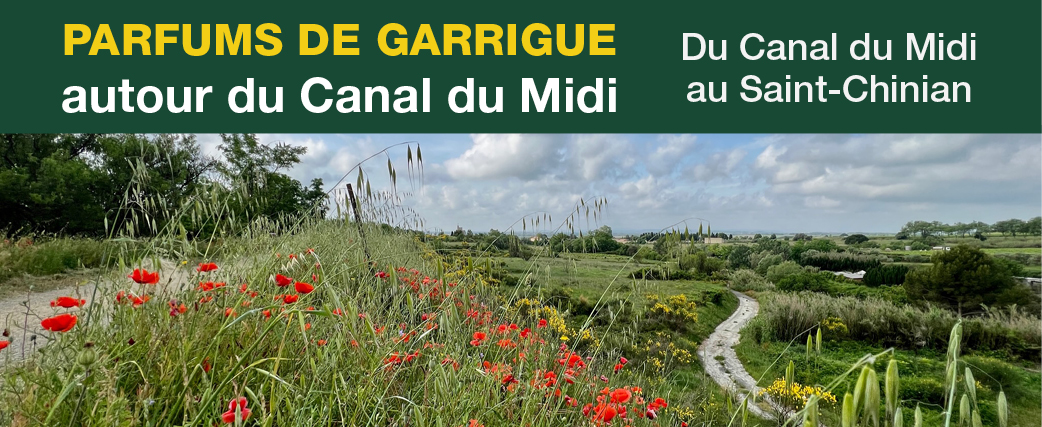 9bandeaucanaldumidi30