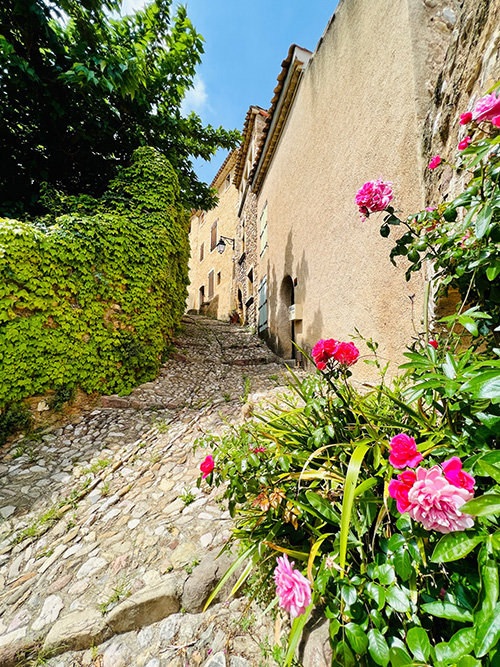 montouliers2